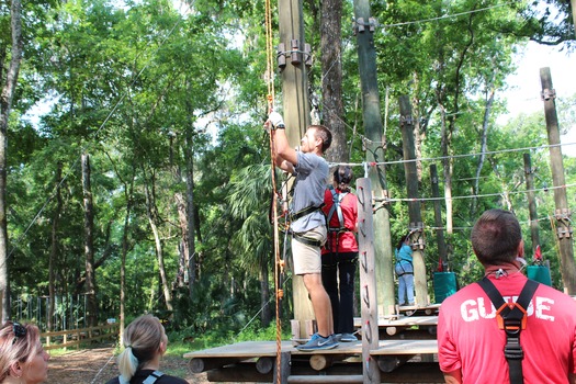 TreeUmph Team Tourism