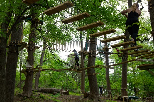 Treetop Quest Philly