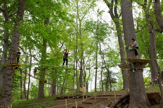 Treetop Quest Philly