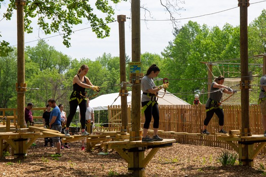 Treetop Quest Philly