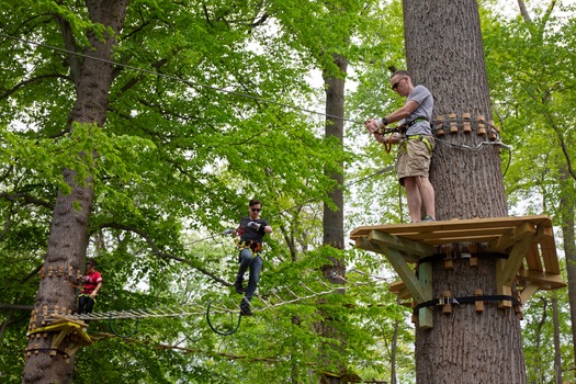 Treetop Quest Philly