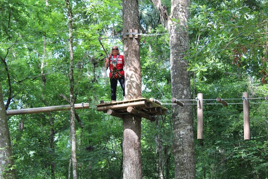 TreeUmph Team Tourism