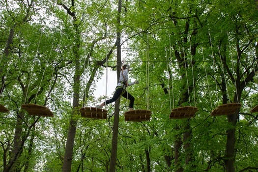 Treetop Quest Philly