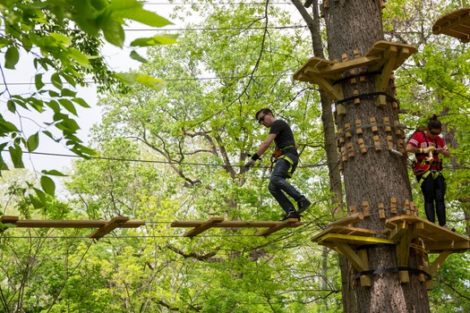 Treetop Quest Philly