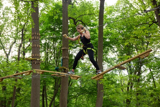 Treetop Quest Philly