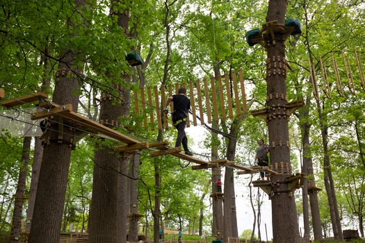 Treetop Quest Philly