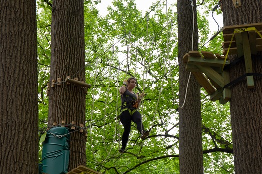 Treetop Quest Philly