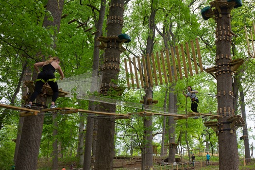 Treetop Quest Philly