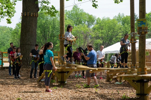 Treetop Quest Philly