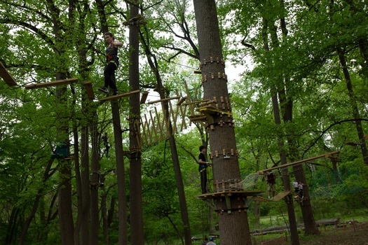 Treetop Quest Philly