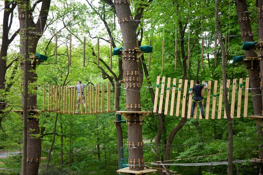 Treetop Quest Philly