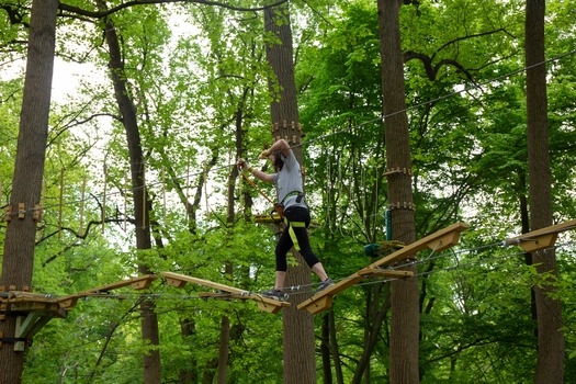 Treetop Quest Philly