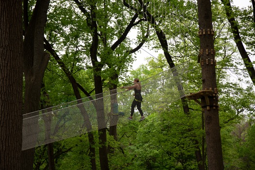 Treetop Quest Philly