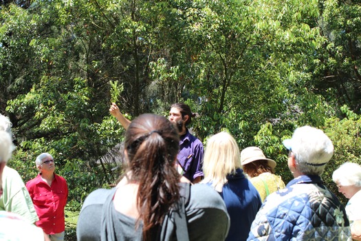 Garden Clud Tour