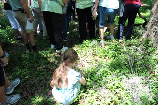 Garden Clud Tour