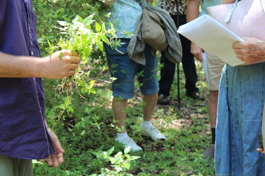 Garden Clud Tour