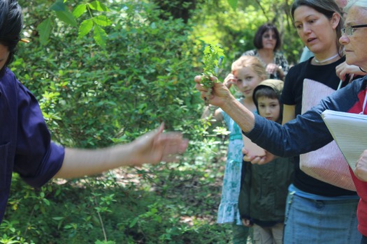 Garden Clud Tour