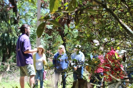 Garden Clud Tour
