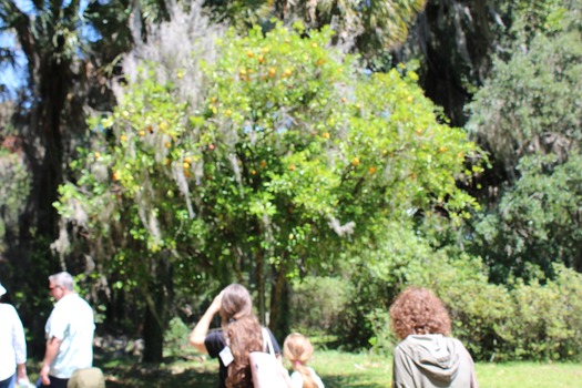 Garden Clud Tour