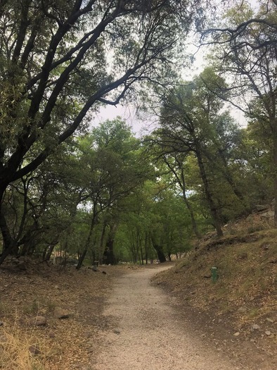 Ramsey Canyon Sierra Vista