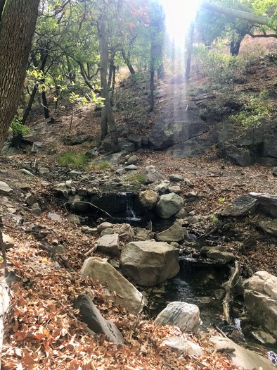 Ramsey Canyon Sierra Vista