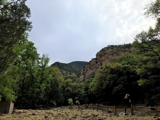 Ramsey Canyon Sierra Vista