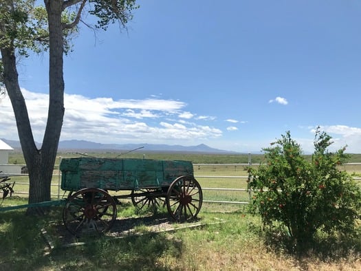 Slaughter Ranch Douglas