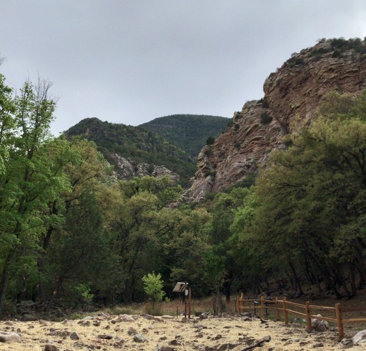 Ramsey Canyon Sierra Vista