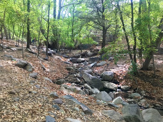 Ramsey Canyon Sierra Vista