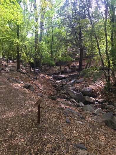 Ramsey Canyon Sierra Vista