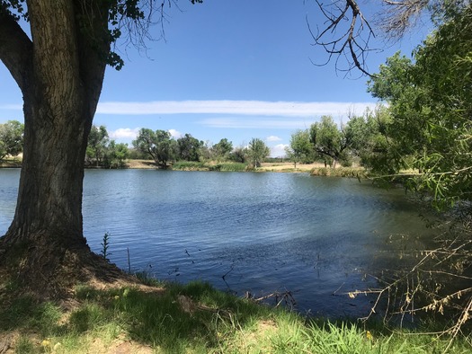 Slaughter Ranch Douglas