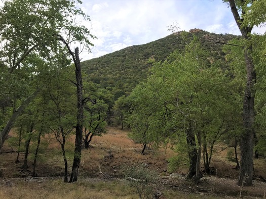 Ramsey Canyon Sierra Vista