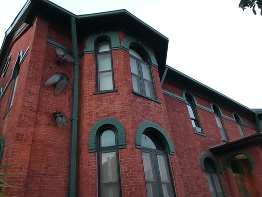 Bisbee Mining and Historical Museum