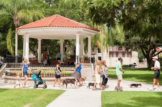 Pet Friendly Plaza Tours