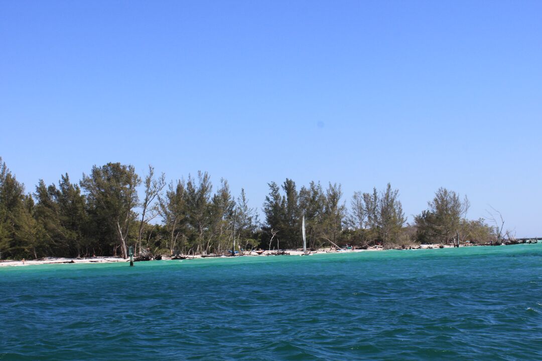 Longboat Key Shoreline
