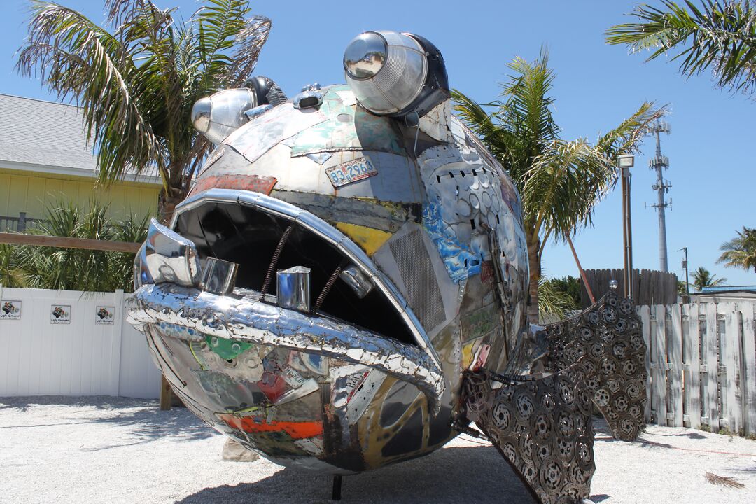 The Ugly Grouper