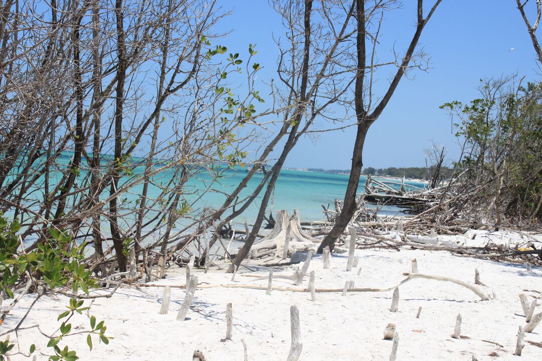 Greer Island