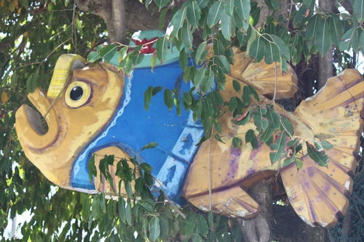 Sea Hagg fish