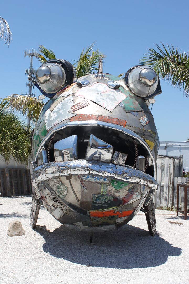 The Ugly Grouper