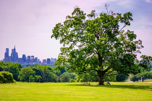 Philadelphia Skyline From Belmont Plateau