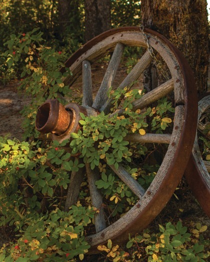 Garden wagon wheel