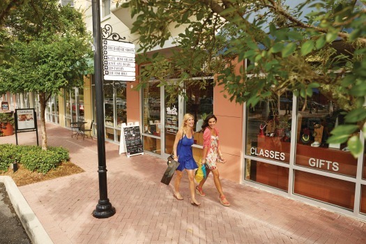 Lakewood Ranch Birdseye