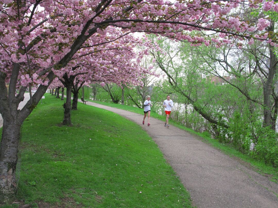 South Side Trail