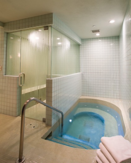 Whirlpool and steam room in spa
