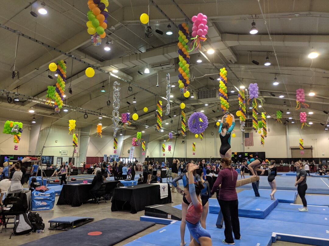 Winston-Salem Education Building- Gymnastics