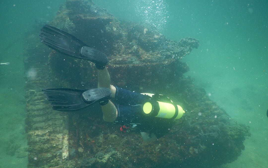Bendickson Reef Scuba Diver, Gulf of Mexico, Bayport