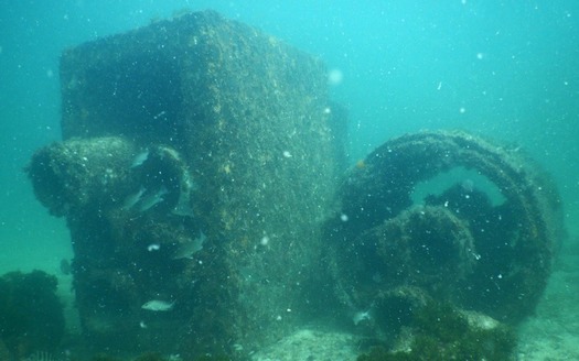 Bendickson reef after