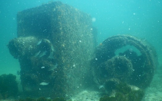 Bendickson reef structure under