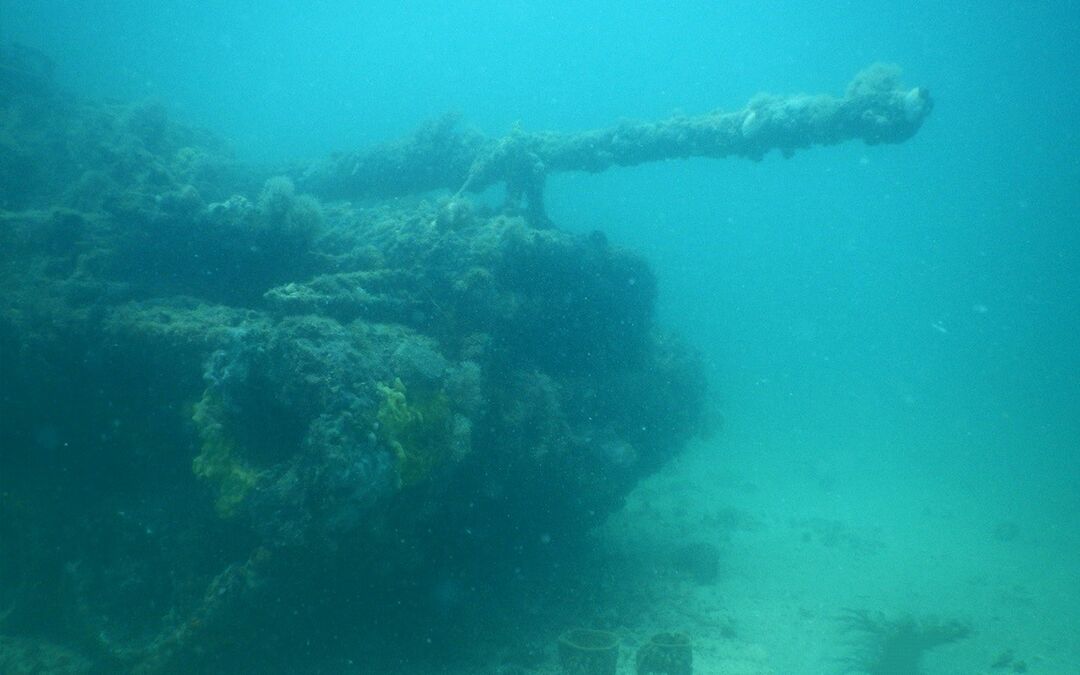 Bendickson Reef  M-60 Tank