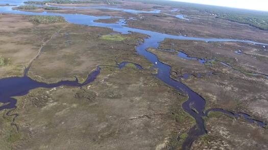 Florida's Adventure Coast Aerial View of Saltmarsh